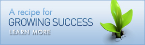 Strategic web development